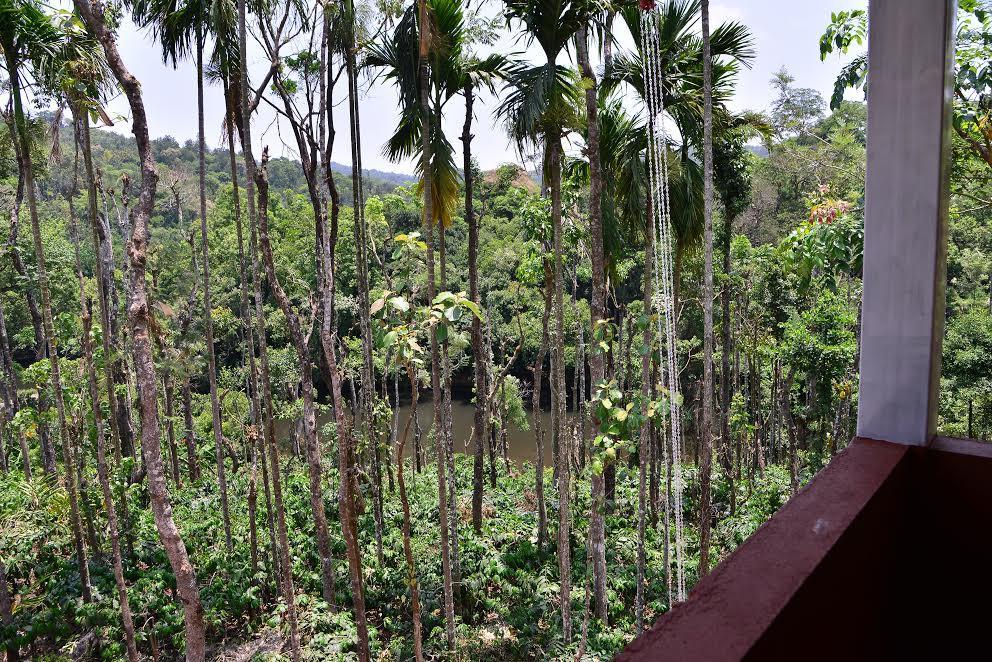 River Near Coorg Jambur 외부 사진