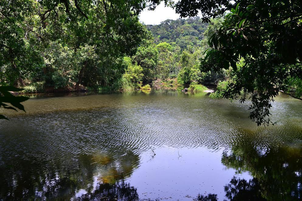 River Near Coorg Jambur 외부 사진